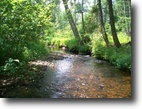 Adirondack Trout Stream w/ 202 Acre Forest