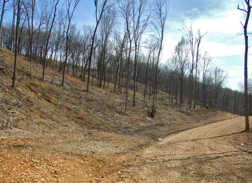 rolling terrain tennessee
