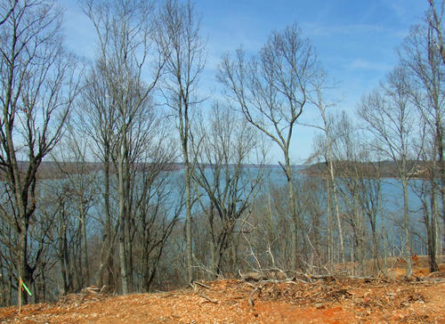 view from ridge tennessee
