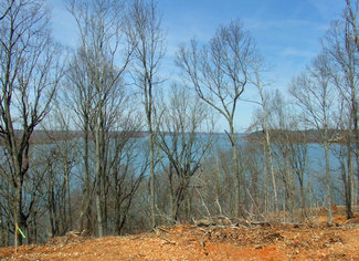 View from Ridge