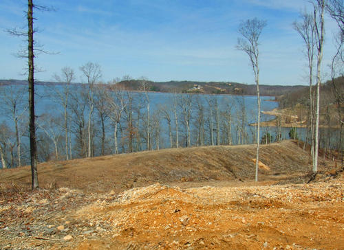 view from ridge tennessee