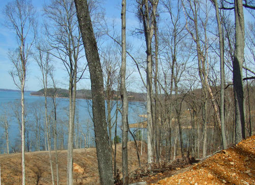view to the north tennessee