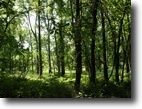 Illinois Farm Land 160 Acres 160 ac Hancock Co IL