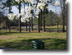 422 Buildable Lots on 217 Acres
