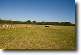 Alabama Farm Land 4 Acres Shell Creek Plantation