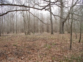 reservoir possible tree landsalelistings arkansas property