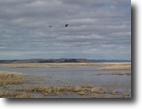 Oregon Farm Land 1 Acres Waterfowl Paradise, Burns,Or.