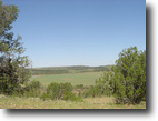 Arizona Farm Land 6 Acres Ideal location! Ranch, Mountain Views!