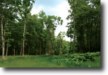 2 Acres Near Lake Wallenpaupack