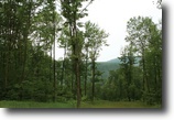 2 to 7 Acres, Lackawanna County, PA