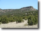New Mexico Ranch Land 1 Acres Upscale Ranch, Wildlife, Views, Tree Cover