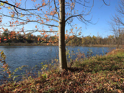 finger lakes region stream access property unadilla new york