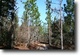 Florida Land 13 Acres Magnolia Springs
