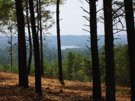 nc land with lake access property