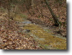 Kentucky Farm Land 126 Acres 126 ac. Hwy 100 East, Monroe Co. KY