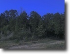 Arkansas Hunting Land 62 Acres Gills Tract