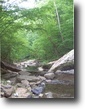 Tennessee Waterfront 38 Acres Piney Creek Estates