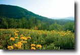 Beautiful 2.52 Acres in NC $89,900