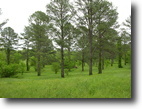 Tennessee Farm Land 11 Acres Magnificent Mini-Farm near Knoxville, TN