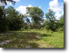 50 Acres Central Florida, Owner Financing