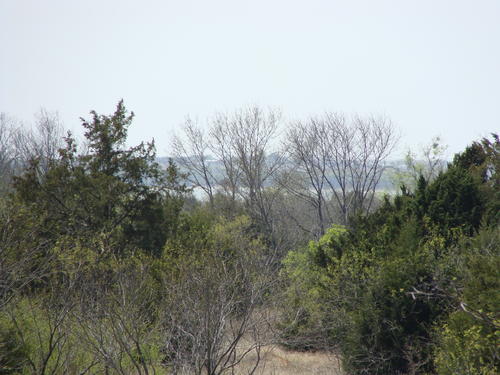 outstanding land in horse county property valley view texas