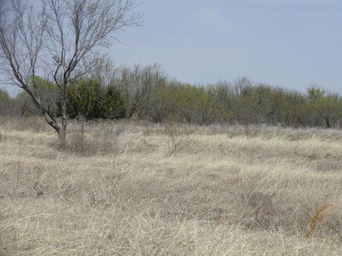 outstanding land in horse county property valley view texas