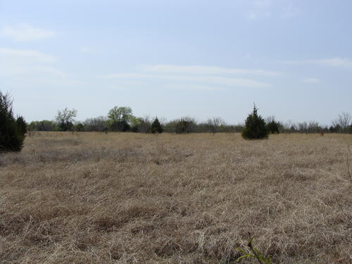 outstanding land in horse county property valley view texas