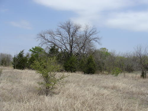 outstanding land in horse county property valley view texas