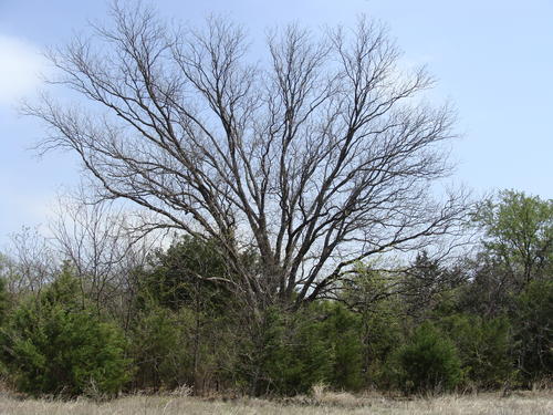 outstanding land in horse county property valley view texas