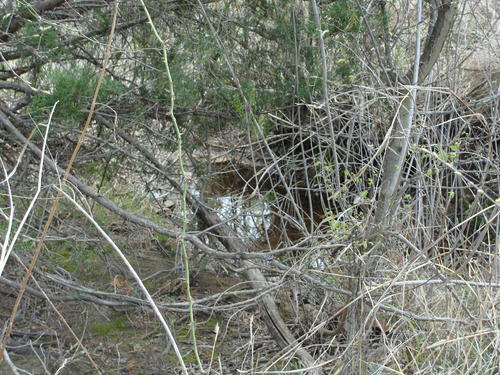 outstanding land in horse county property valley view texas