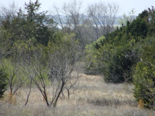 outstanding land in horse county property valley view texas