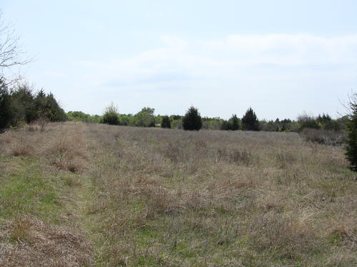 outstanding land in horse county property valley view texas