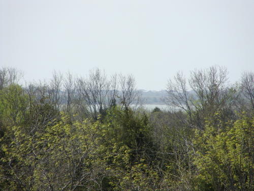 outstanding land in horse county property valley view texas