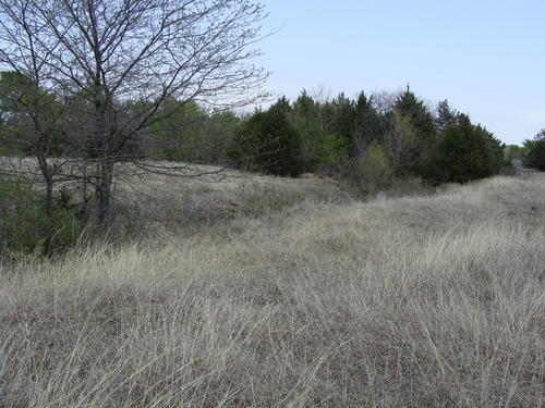 outstanding land in horse county property valley view texas