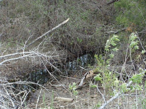 outstanding land in horse county property valley view texas