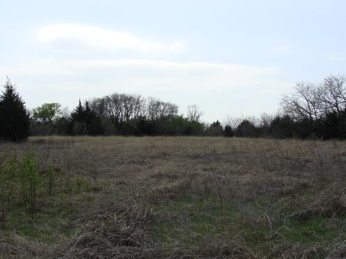 outstanding land in horse county property valley view texas