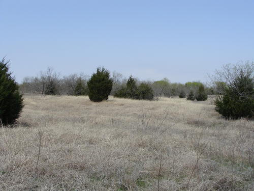 outstanding land in horse county property valley view texas
