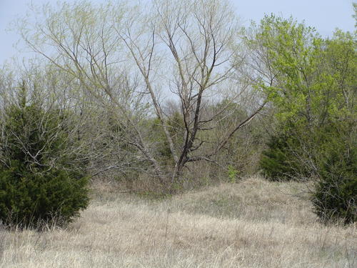 outstanding land in horse county property valley view texas