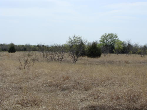 outstanding land in horse county property valley view texas