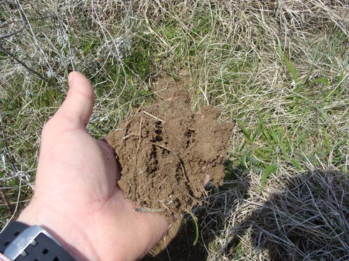 outstanding land in horse county property valley view texas