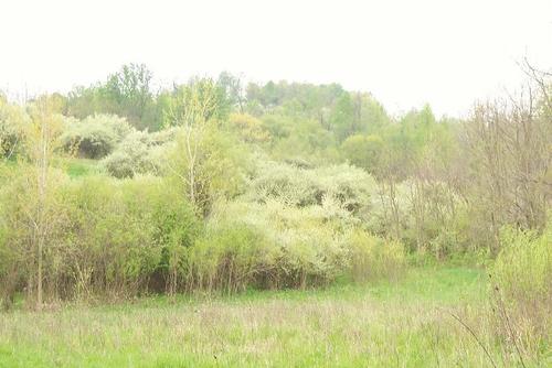belmont ridge county oh property