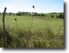 Iowa Farm Land 74 Acres McCarty 74