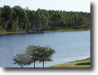 Prime Lake Front 1.4 Acres
