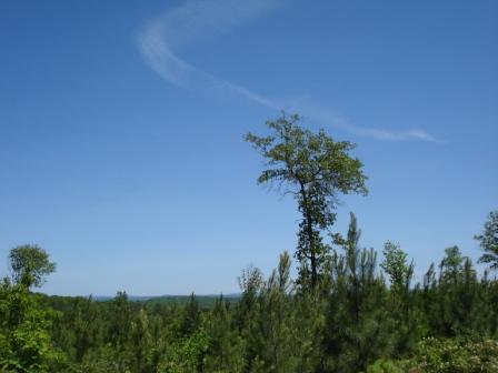 only minutes from fall creek falls property specer tennessee