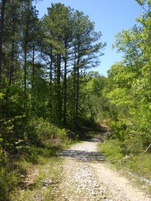only minutes from fall creek falls property specer tennessee