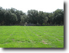 Bryant Road 5 Acres