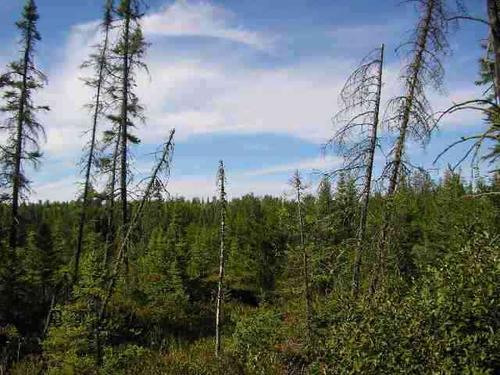 off co rd mpb mls property palmer michigan