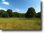 5 Beautiful Acres In Silver Moon Ranch