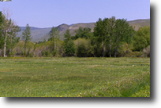 Salmon Idaho- 21 acres Lemhi Riverfront
