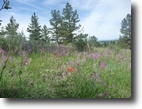 3-5 Acre Homesites in Douglas County, CO